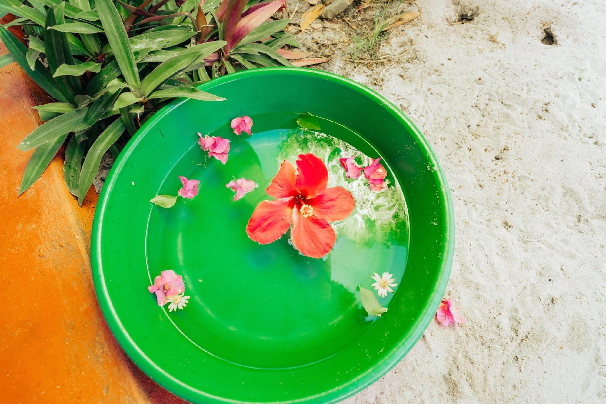 Maisara Mafia Beach Lodge Kilindoni Ngoại thất bức ảnh